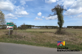 Działka budowlana 10 km od Torzymia